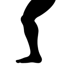 Black silhouette of a leg and knee