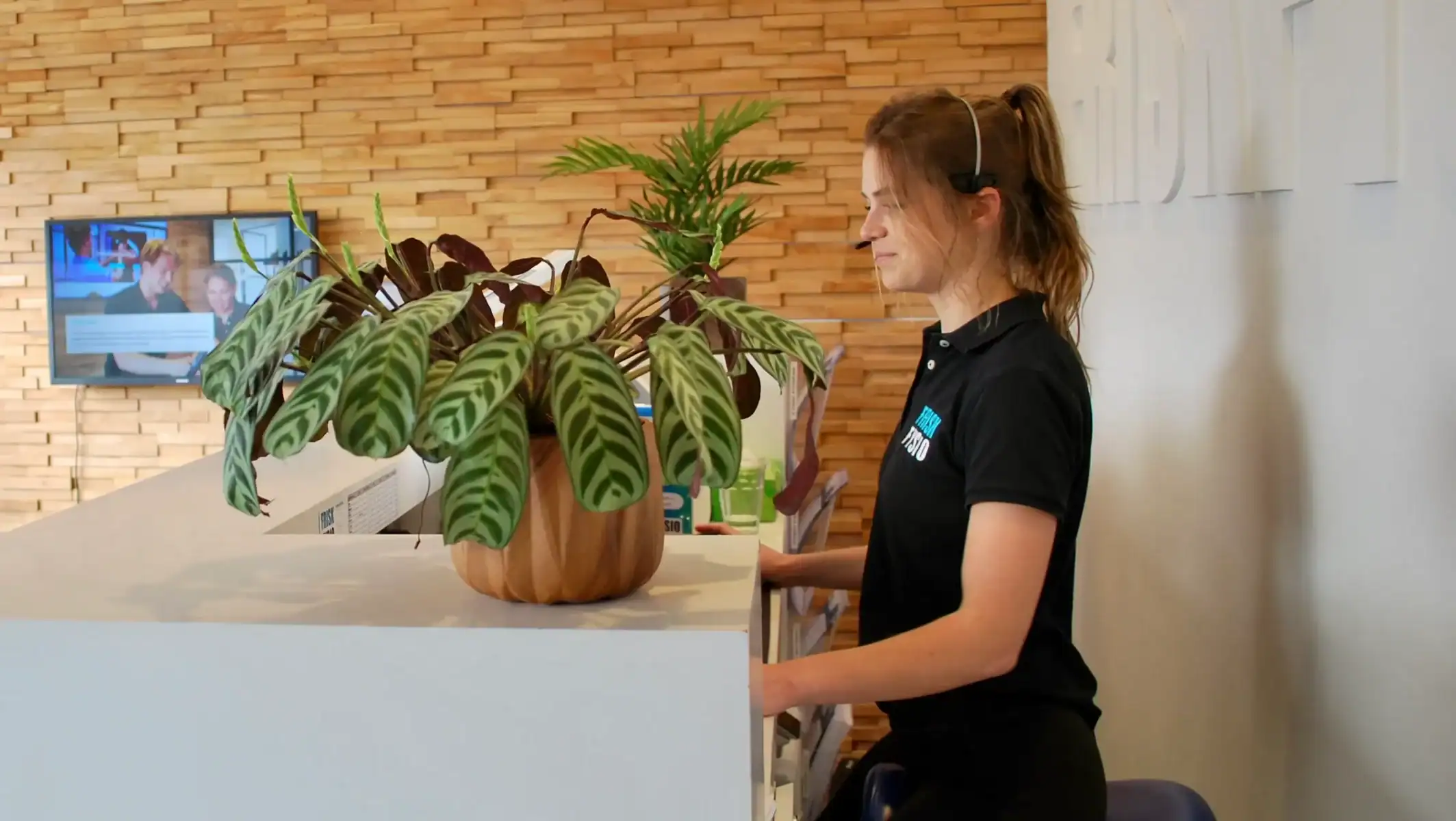 Demo - Working at FRISKFYSIO 13 counter13 scaled